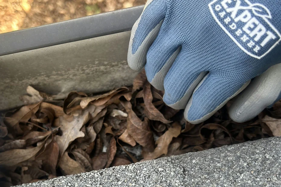 Gutter Cleaning Hawthorne FL