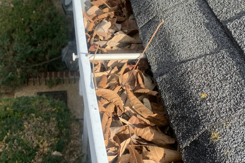 Gutter Cleaning Hawthorne FL