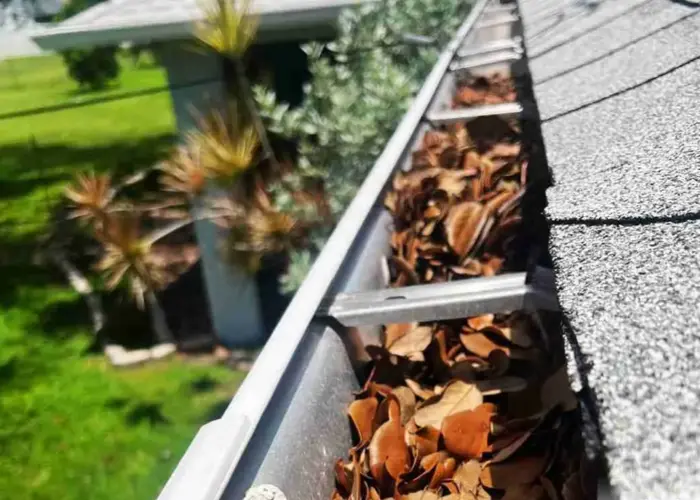 Gutter Cleaning Hawthorne FL home page